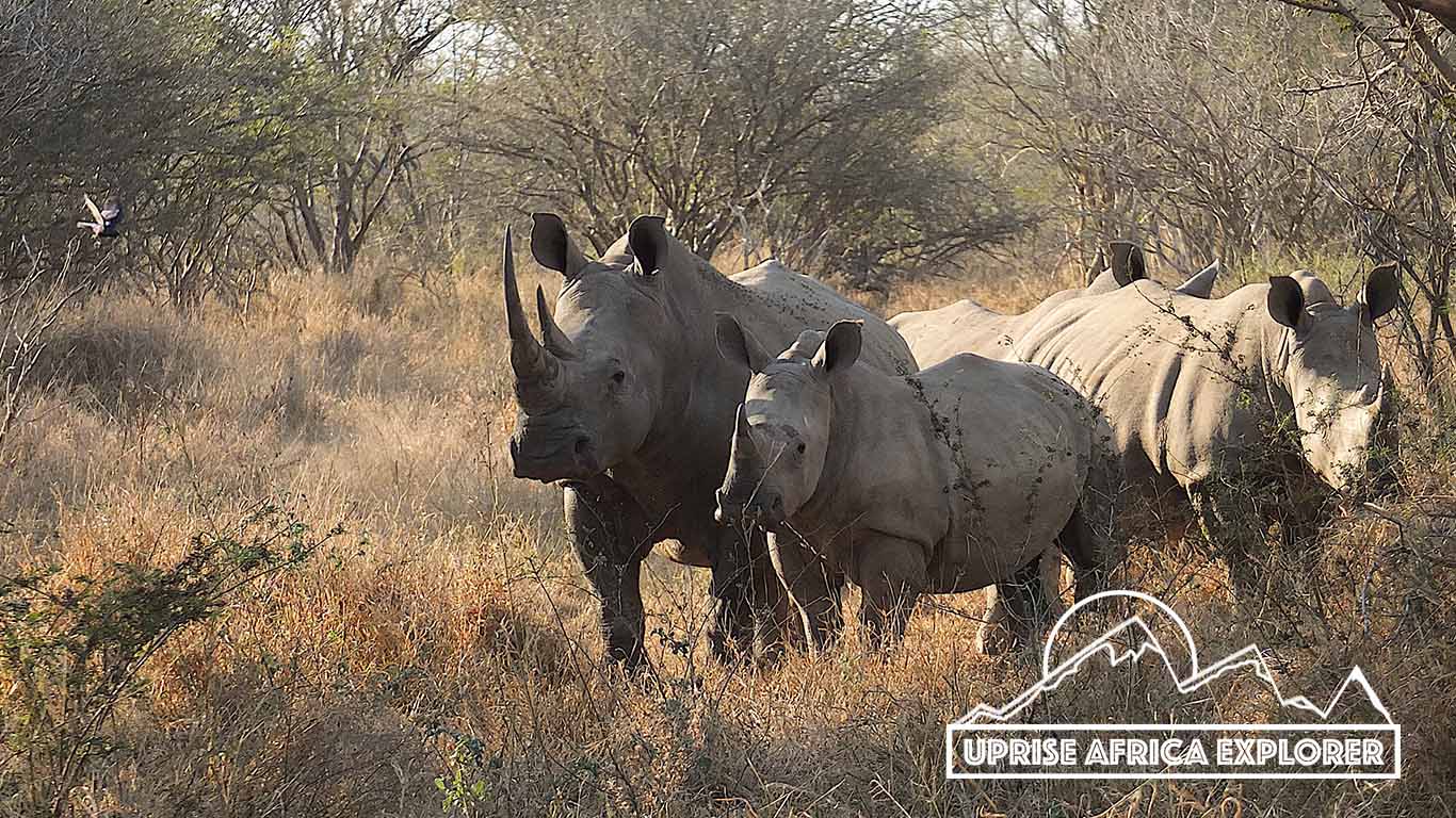 Ngorongoro Crater / Ngorongoro Conservation Area