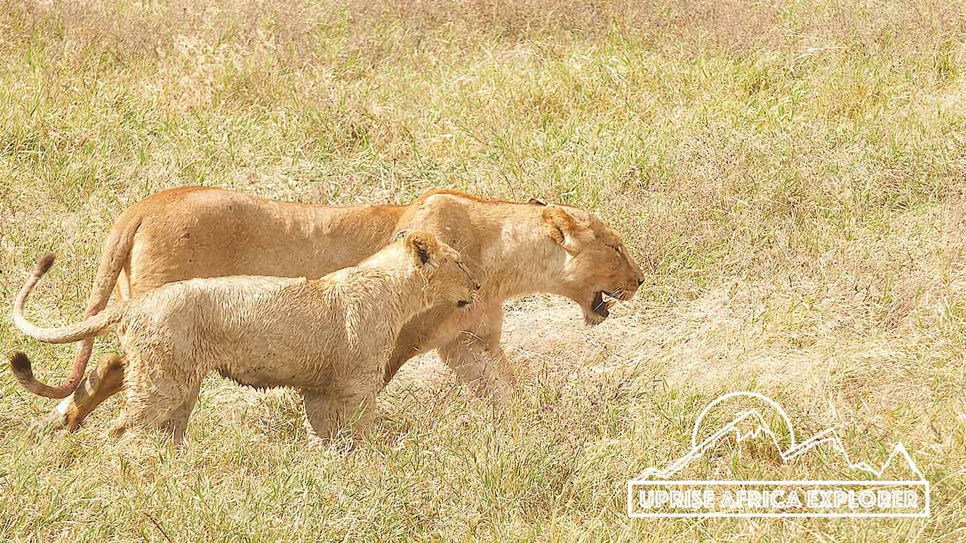 Serengeti National Park