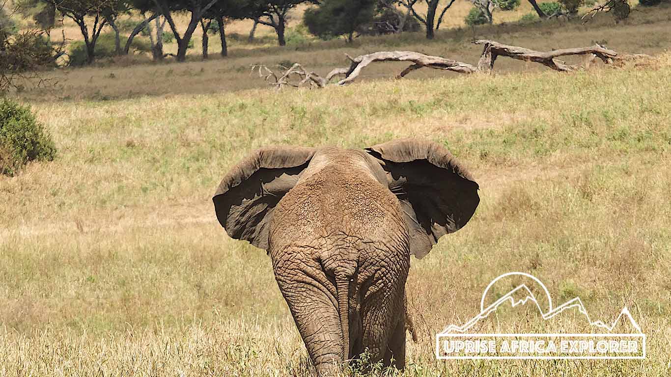 Tarangire National Park