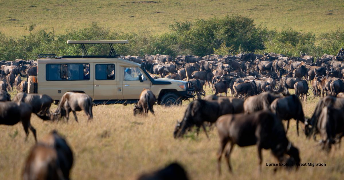 A Complete Guide to the Great Wildebeest Migration in Serengeti