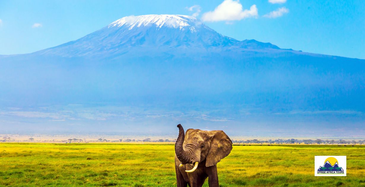 How Long Does It Take to Climb Mount Kilimanjaro?